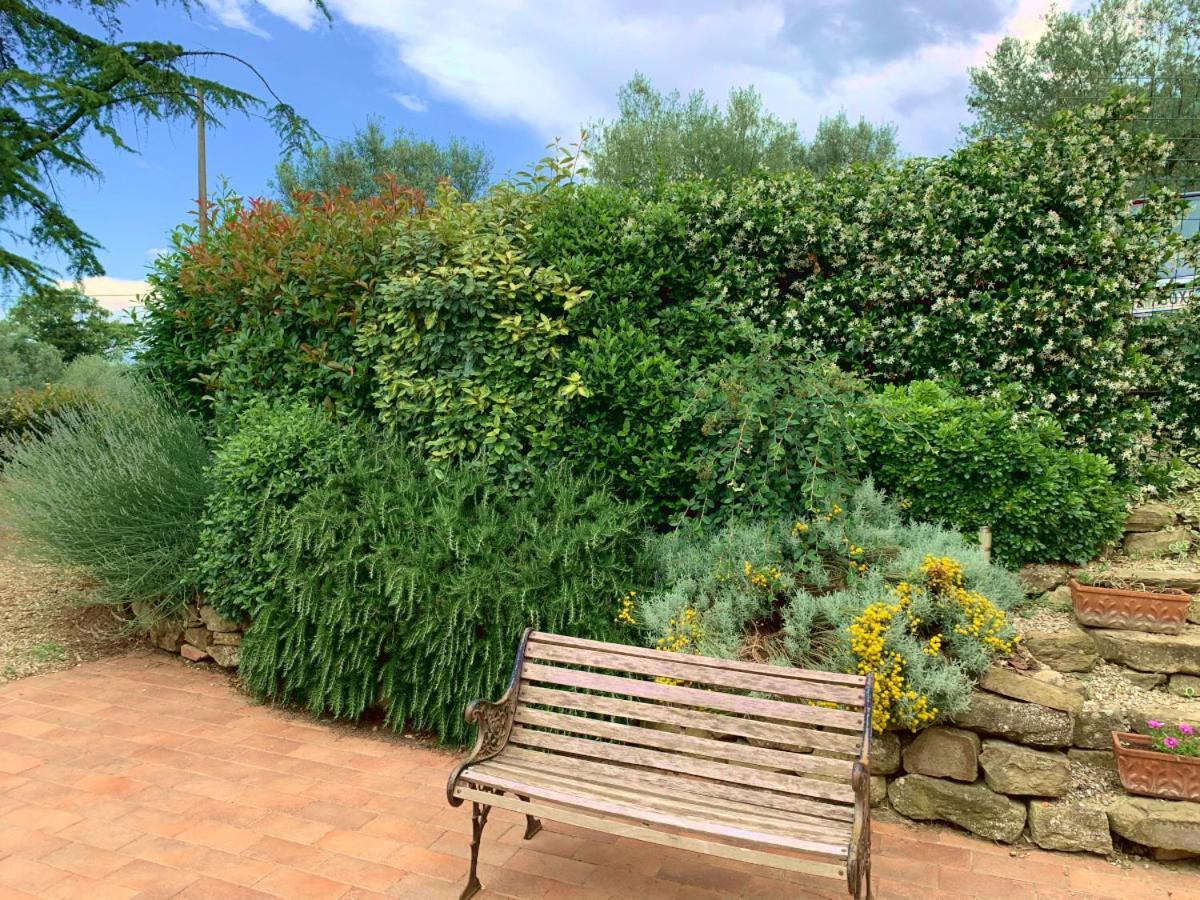 Agriturismo La Collina Toscana Pieve a Maiano Экстерьер фото