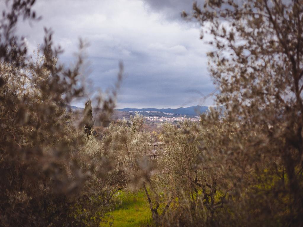 Agriturismo La Collina Toscana Pieve a Maiano Экстерьер фото